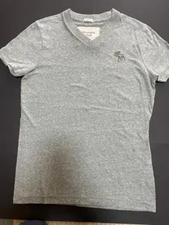 Abercrombie&Fitch 淡いグリーン Vネック Tシャツ ロゴ刺繍