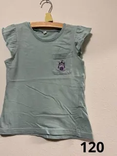 Item thumbnail for item 41972a31-23f4-487b-9e7d-bbccdac7cf56