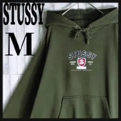 【超絶希少デザイン】OLDSTUSSY☆センター立体ロゴ入りパーカー希少カラー