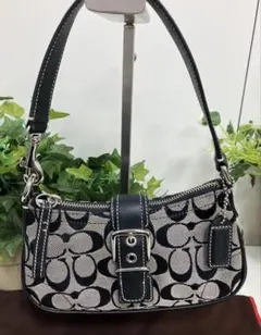 未使用級✨コーチ シグネチャー バッグ アクセサリーポーチ 6362 ソーホー 2025年最新】コーチ 6362の人気アイテム - メルカリ