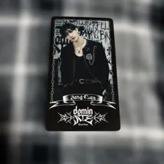 スキズ dominate スペシャルトレカ まとめ売り