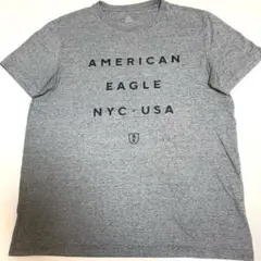 AMERICAN EAGLE グレー Tシャツ　メンズ　M アメリカンイーグル