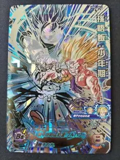 スーパードラゴンボールヒーローズ UGM1-SEC3 孫悟飯少年期