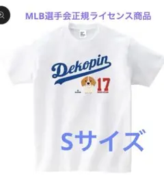 Item thumbnail for item 0a45f062-3f73-4506-88c2-32234616788d