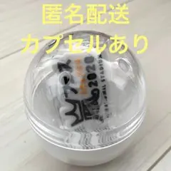 嵐 We are ARASHI 会場限定 カプセルトイ アラフェス2020