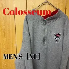 TS76【US輸入】Colosseum　ハーフジップスウェット【XL】グレー