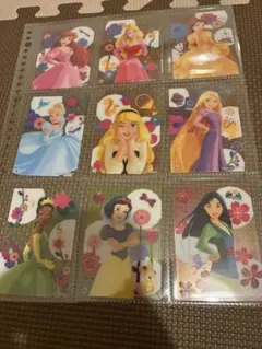 ディズニー プリンセスクリアカード