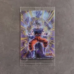 超サイヤ人ゴッドSS・進化ベジータ イタジャガ　SEC