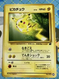 ら*し様 極美品 ピカチュウ＆ライチュウセットイントロパック ポケモン