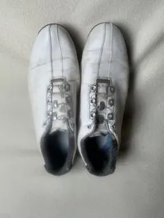 FootJoy ゴルフシューズ ホワイト ダイヤル式 US9のサムネイル