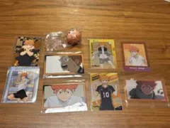 日向翔陽　トレーディングカード　クリアカード　じゃぱぐるみ　9点セット