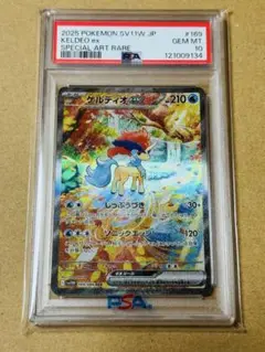 ケルディオEX sr bw 1ed psa10 2025年最新】ケルディオex psa10の人気アイテム - メルカリ