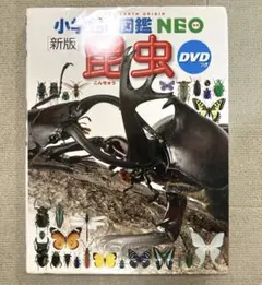 Item thumbnail for item b5105ccf-1d99-489c-bb9f-5ab0b5beca4f