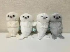 ほわほわアザラシちゃん キャラクターグッズ
