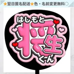 rapunzel30様 リクエスト 2点 まとめ商品