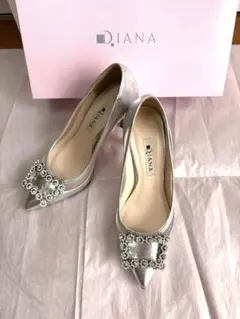 DIANA シルバービジュー ポインテッドトゥハイヒール 22.5cm