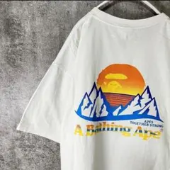 【入手困難】エイプ バックプリント Tシャツ 山ロゴ 白 XL ゆるだぼ