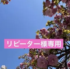 ◆新品未使用◆フェイラー　ハイジ　メッシュポーチ　Ｓサイズ　ピンク