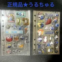 正規品★完成品スンスンうるちゅる等