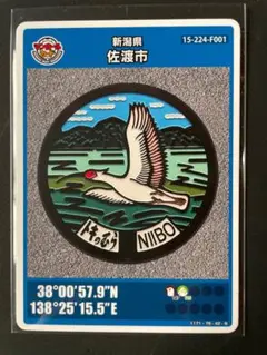 Item thumbnail for item 8721a561-fa16-49a1-8531-4babe0fcaa12