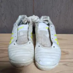 アシックス　DSライト　22.5cm