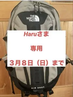THE NORTH FACE(ザノースフェイス) ビッグショットBIGSHOT