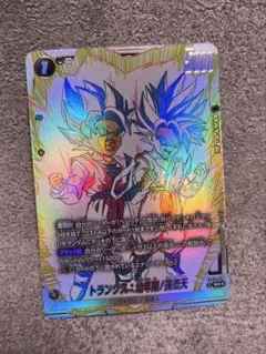 フュージョンワールド トランクス：幼年期/孫悟天 ST01-058 SRパラレル