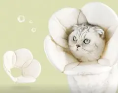 Item thumbnail for item eee24f73-a4a2-4f91-abcd-6f31b8085f8f