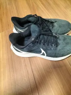 Item thumbnail for item 740a4308-3aeb-4409-bf16-48fd75bf79c3