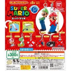 スーパーマリオ めじるしアクセサリー 4種類セット