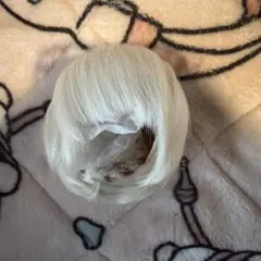 ウィッグ 7-8インチ