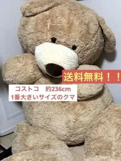 コストコ くま ベア ぬいぐるみ 236cm 93インチ コストコ くま テディベア ビッグサイズ 特大 ぬいぐるみ 236cm