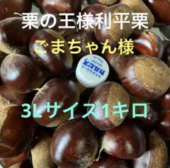 2025年最新】茨城県産利平栗の人気アイテム - メルカリ