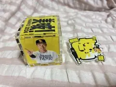 Item thumbnail for item 74dba378-0438-472b-961a-80b8b2e3ec24