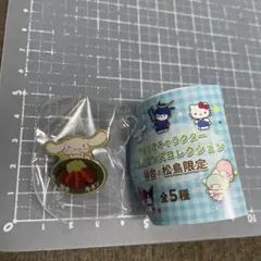 開封済み未使用　サンリオキャラクターご当地ピンズコレクション　シナモン