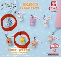 スキズ skzoo めじるしアクセサリー