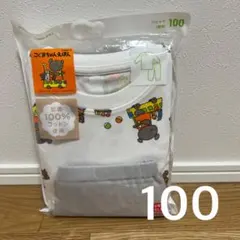 achan様 リクエスト 2点 (100&110)まとめ商品