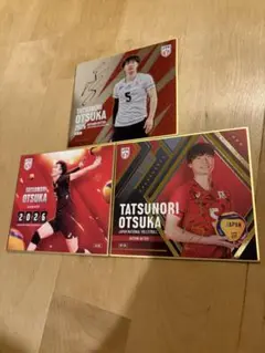 バレーボール女子日本代表 荒木彩花選手 トレーディングmini色紙 | Mercari