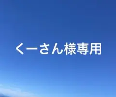 くーさん様専用