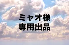 ミャオ様 専用出品