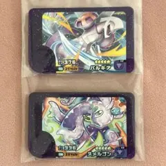 ポケモン フレンダ パルキア ヌメルゴン