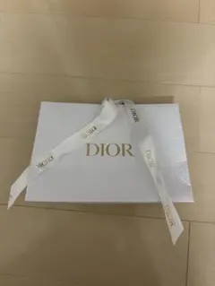 DIOR ギフトバッグ 大サイズ ホワイト