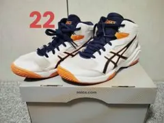 Item thumbnail for item 4ed9e202-ec63-4ec0-8936-a38e44bdc70d