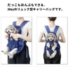 リュック型キャリーバッグ　ピンクグレー　新品