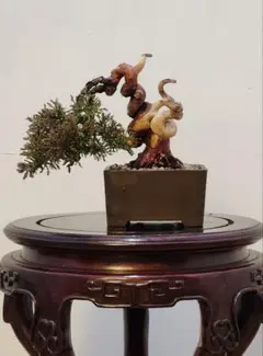 中国美術 翡翠玉石彫刻 桃の木 高75cm 箱付 玉石盆栽 未使用長期保管