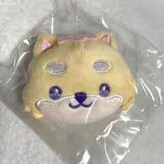 2025年最新】まめちぃぬいぐるみの人気アイテム - メルカリ