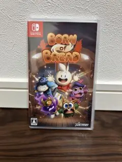Nintendo Switch Born of Bread