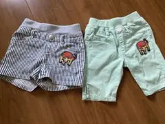 アンキロサウルス　短パン　ショーパン