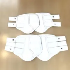 Item thumbnail for item 8701a106-5e1c-4fcd-9863-cd090d633a3d