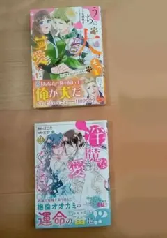 2025年最新】TLマンガセットの人気アイテム - メルカリ